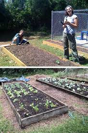Raised Beds Benefits And Maintenance