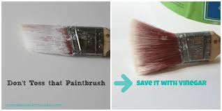 dry and crusted paintbrush with vinegar