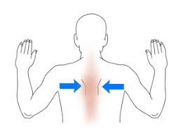 exercises for shoulder impingement