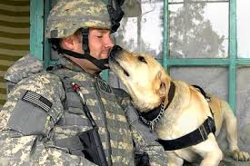 Image result for memorial day pics with dogs
