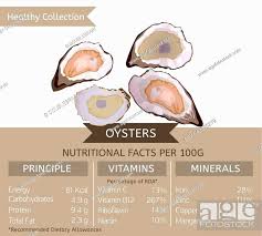 oysters health benefits vector