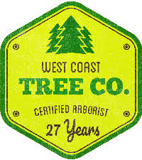 Our arborists are experts in diagnosing and treating tree and shrub problems specific to the santa barbara area. Free Consultation Quote Certified Arborist Santa Barbara
