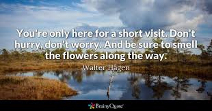 We did not find results for: Walter Hagen You Re Only Here For A Short Visit Don T