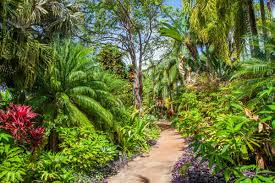 4 amazing kauai botanical gardens you