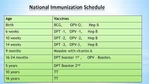 National Immunisation Programme