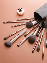 5 must have makeup brushes for beginners