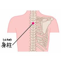 肩こりの治療に関連する経穴・解剖学的位置・エコー画像 | 銭田良博ブログ