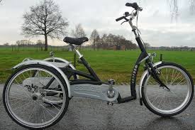 Image result for tricycles for adults