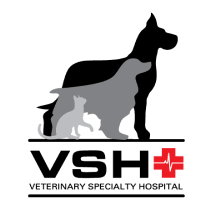 veterinary specialty hospital of palm