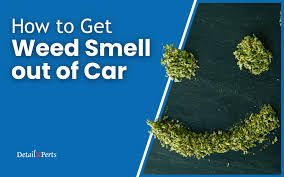 how to get weed smell out of car