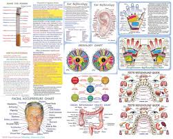 Reflexology Chart For Face Hands Ears Teeth With Acupressure Tips Print 8x10