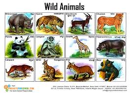 Resultado de imagen de wild animals
