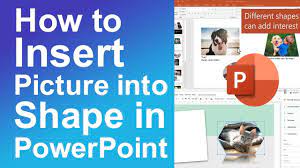 insert picture into shape in powerpoint