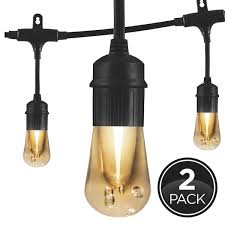 Acrylic Edison Bulbs