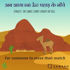How to say camel in hindi language? Zabaan School For Languages On Twitter A Very Common Saying In Hindi Used When Someone Strong Powerful Or Even Skilful Meets Their Match Or Someone Something Better Than Them à¤Š à¤Ÿ Means A Camel