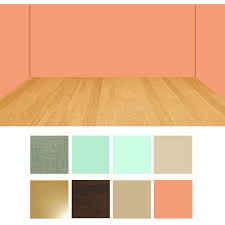 peach wall room color combination