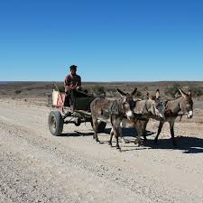 jess s namibian adventure from desert