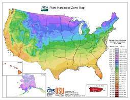 usda hardiness zones map american
