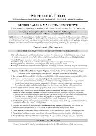 Regional Vp Sales Sample Resume Executive Resume Writing Sales