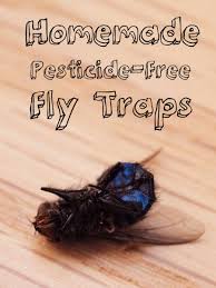 3 genius foolproof fly traps to make