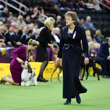The westminster kennel club dog show is back for its 144th year. Iwargf27nbh7hm