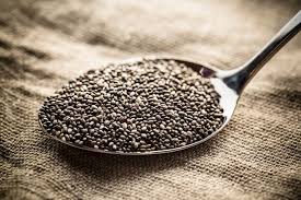 chia seeds uses nutrition and more