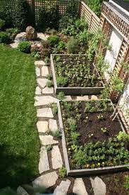 Vegetable Box Garden In Front Of The