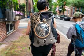 Chewy has the perfect backpack cat carrier for cat lovers. Does Fluffy Really Want To Be An Adventure Cat The New York Times