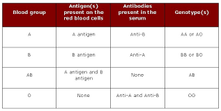 the abo blood group blood groups and