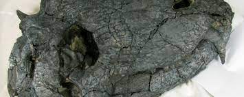 Mapa de piedra del inframundo: hallan un misterioso monolito maya en México - 17.09.2023, Sputnik Mundo