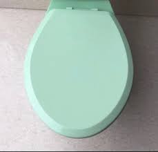 Light Green Toilet Seat Nationwide