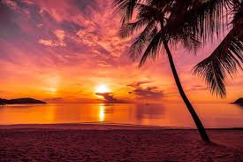 beach sunset stock photos images and