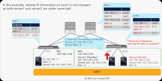 aci fabric endpoint learning