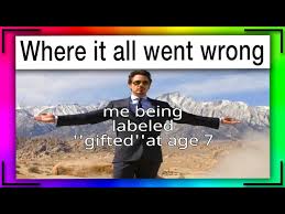 memes that make me gifted you