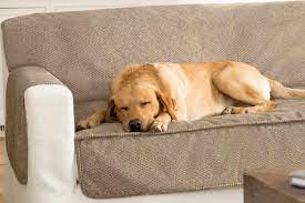 the 8 best couch covers for dogs of 2023