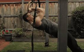 bigger arms with calisthenics