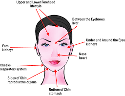 60 Meticulous Pimple Location Chart
