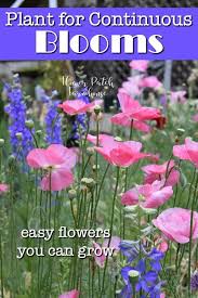 I also treat poppies as a wildflower and lightly sprinkle seeds in the fall. Plant Your Garden For Continuous Blooms Flower Patch Farmhouse