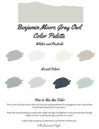 Gray Owl By Benjamin Moore Whole Home