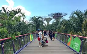 Gardens By The Bay Supertrees A