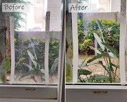 Remove Hard Water Stains From Glass
