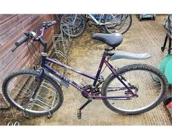 Raleigh Auctions S Raleigh Guide