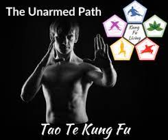 kung fu at home with the free app