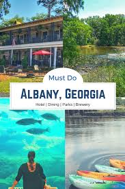 things to do in albany ga 11 best