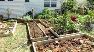 designing a raised bed vegetable garden