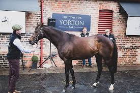 16,125 likes · 32 talking about this. A Warm Welcome In Wales As Yorton Farm S Replenished Roster Goes On Parade Racing Post Yorton Farm