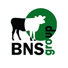 Свежие отзывы о Компания BNS group - Как Фирма - отзывы о компаниях