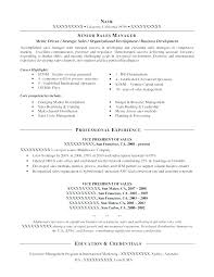 Business Management Resume Examples Business Development Manager