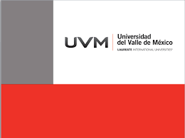 Hay un montón de preguntas que pueden pasar por tu cabeza: Universidad Del Valle De Mexico Plantilla Power Point Uvm Portadas De Trabajos Portadas Libros Sobre Liderazgo