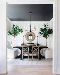 paint your dining room ceiling
